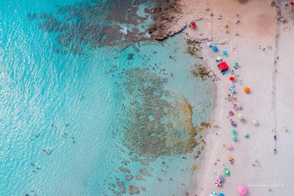 Appartement Ezzouhour Dar Sammoud Kelibia Dış mekan fotoğraf
